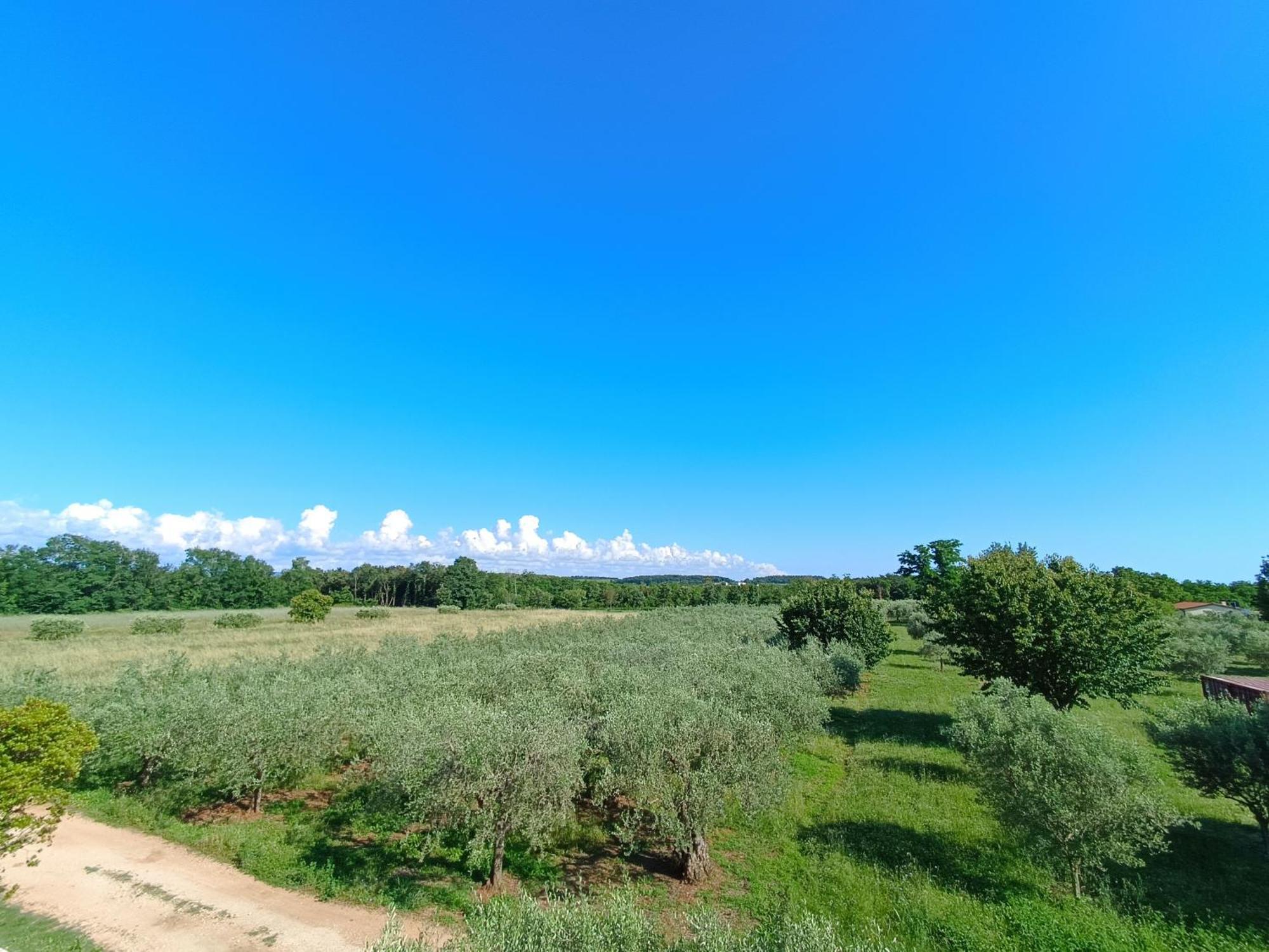 Apartman Ika Umago Esterno foto